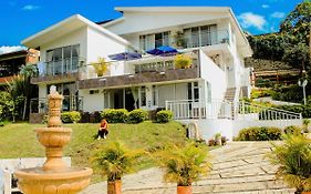 Hotel Boutique Palmas De Salento